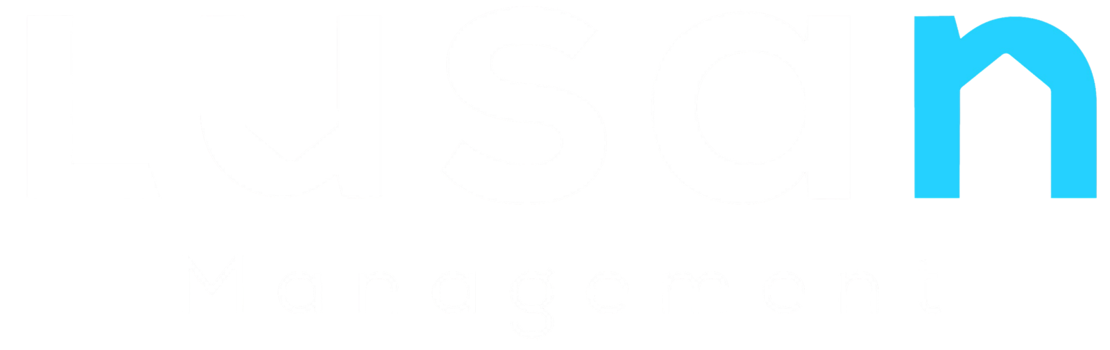 Logo Lusan Management